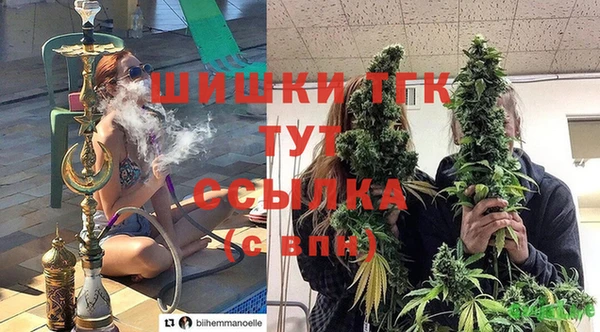 ПСИЛОЦИБИНОВЫЕ ГРИБЫ Зеленокумск