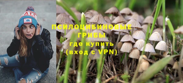 гидра Зеленодольск