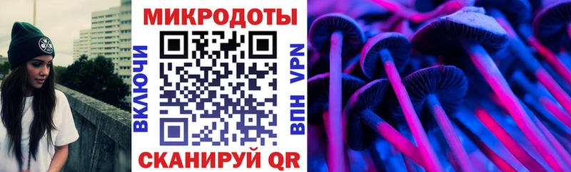 Галлюциногенные грибы Psilocybine cubensis Кореновск